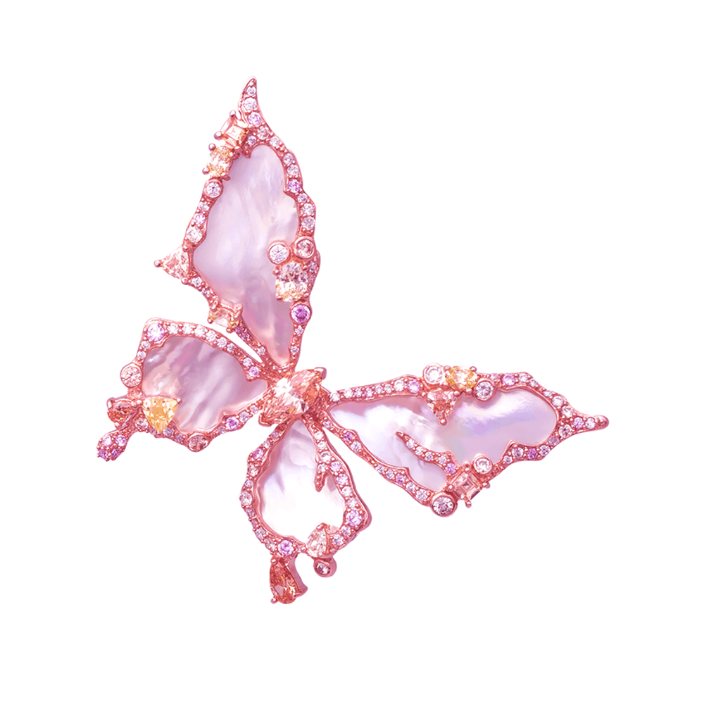 Picture of the author