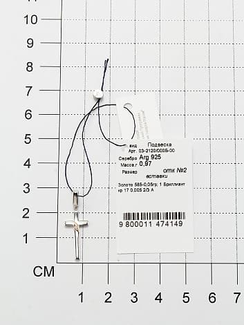 Picture of the author