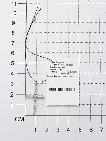 Picture of the author