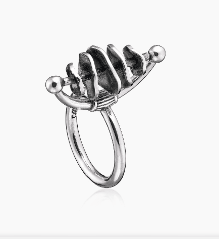 Picture of the author