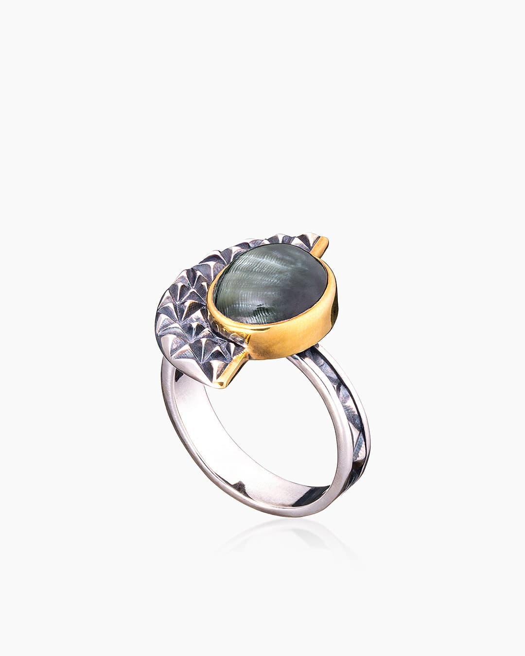 Picture of the author