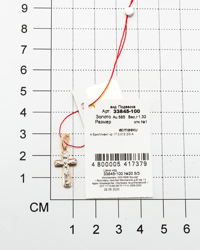 Picture of the author