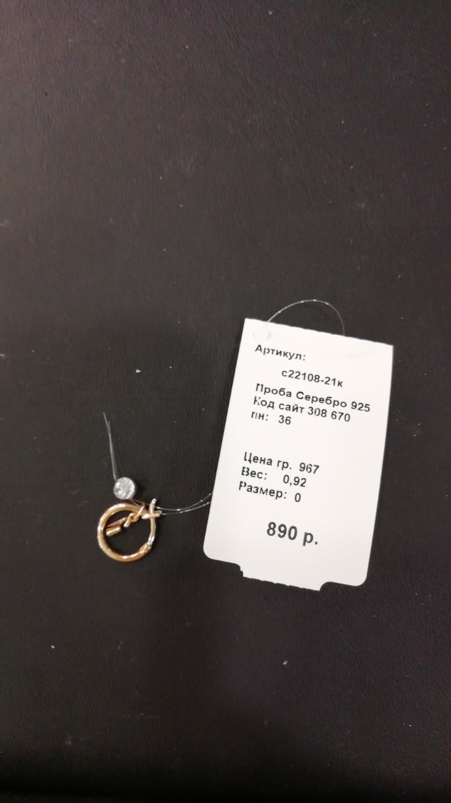 Picture of the author