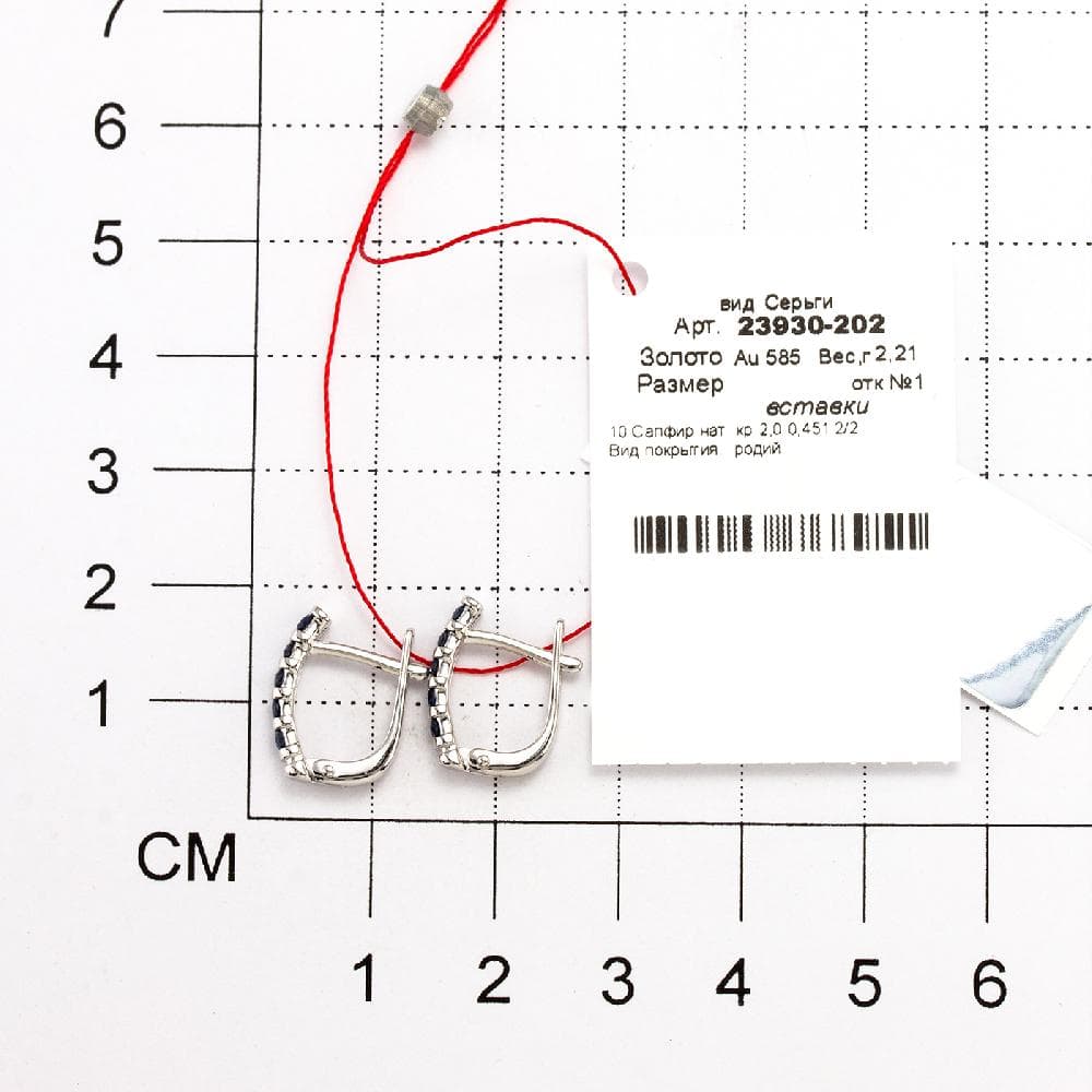 Picture of the author